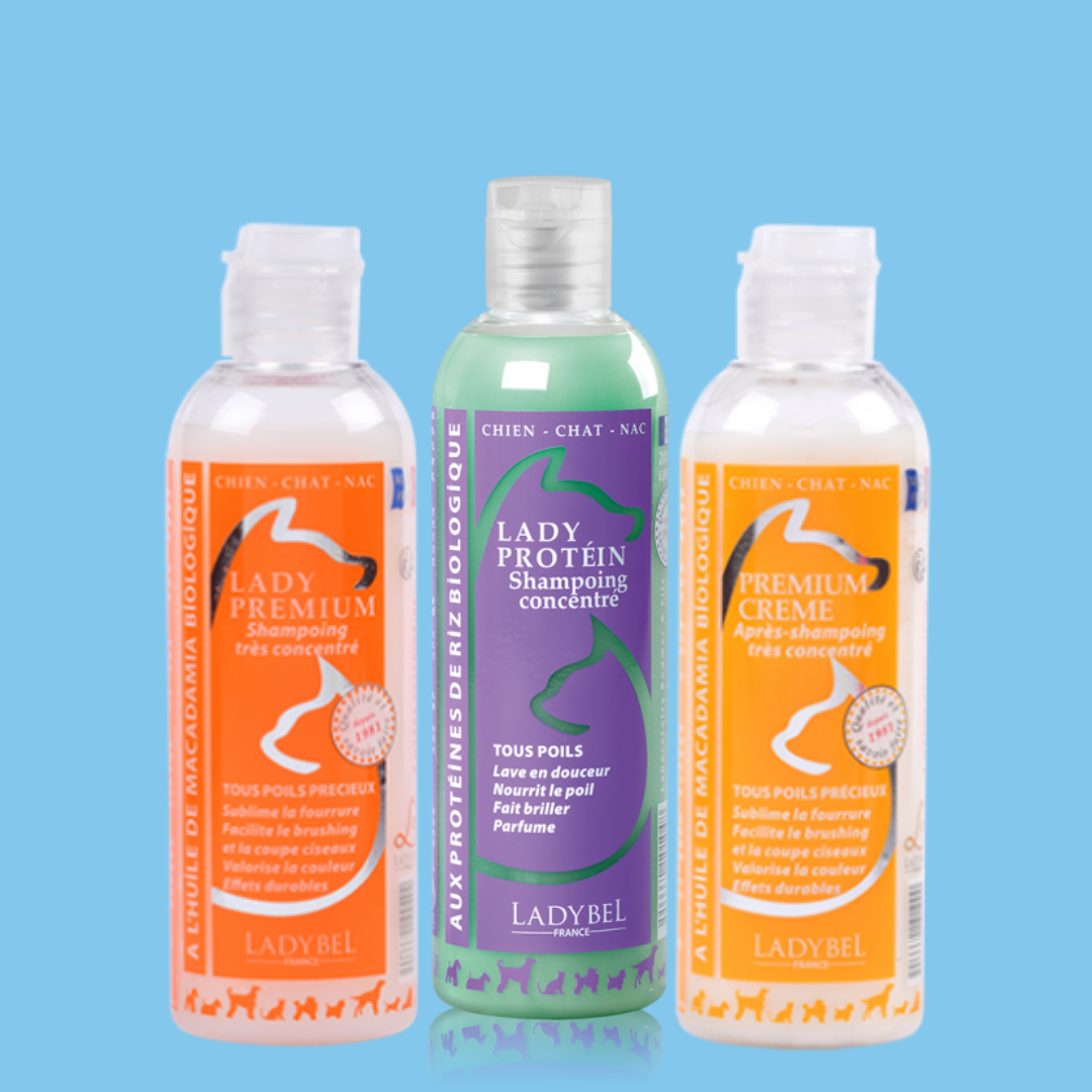 Shampoo & Conditioner