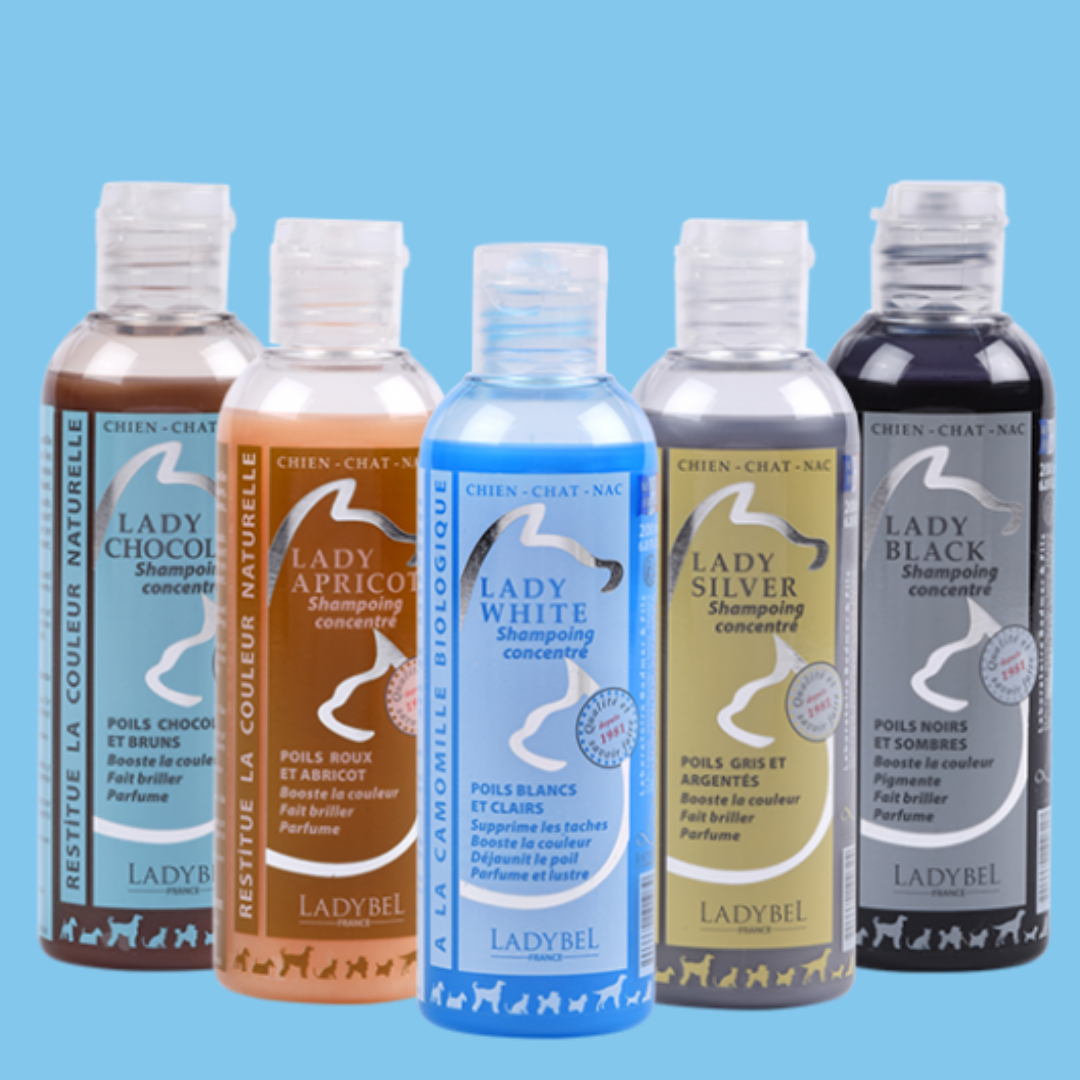 Colour & Specialty Shampoo