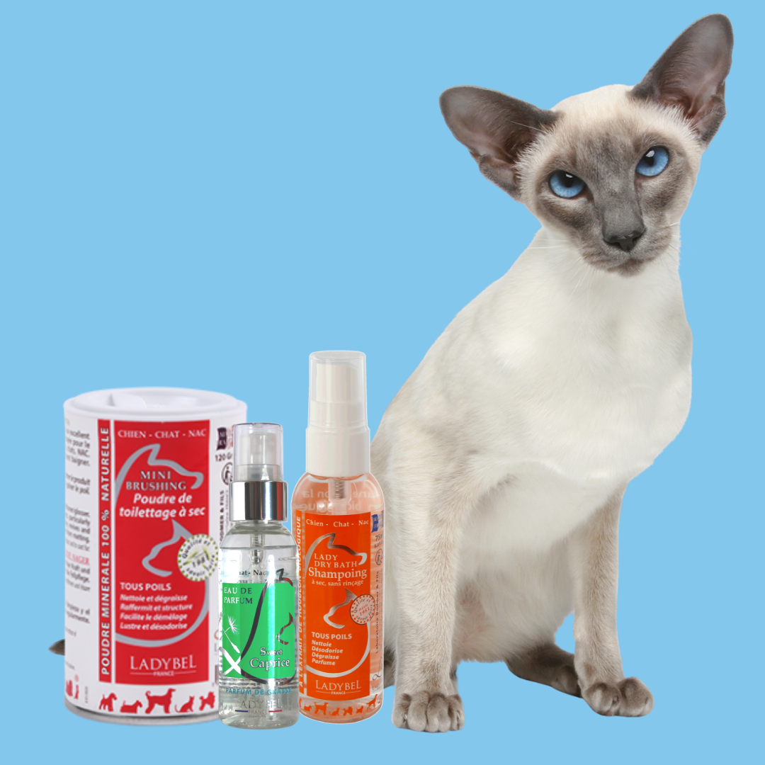 Show Packs & Accessories