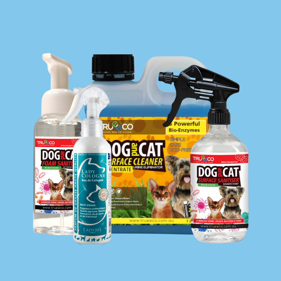 Cattery & Cleaning