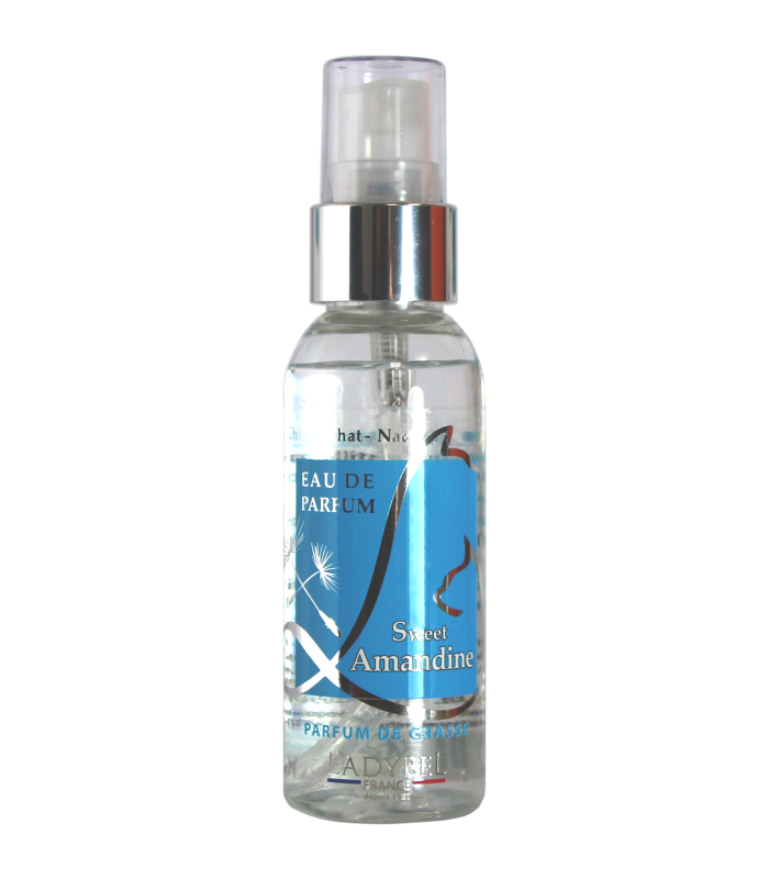 LADYBEL Perfume Collection