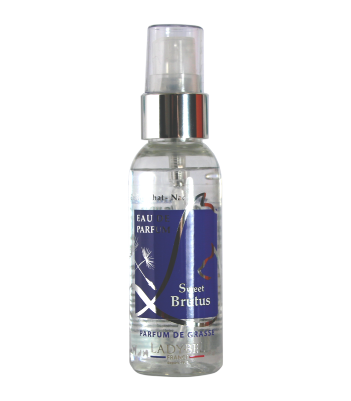 LADYBEL Perfume Collection